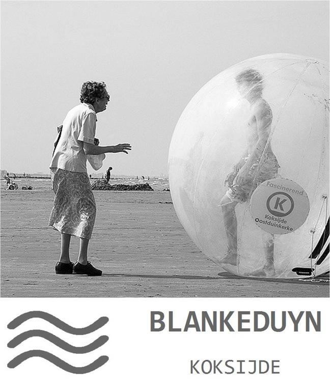 Blankeduyn Koksijde Apartamento Exterior foto